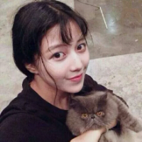 性情温热的猫王 イ+ m都 不 在