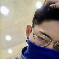 这个男人叫诸振中 你是只个孤独浪者.不