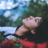 none [ 别去羡慕别人的风