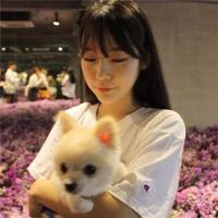 张起灵 46、向前走，走过不