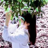 婪瘾。 你喝的好醉眼角都是泪