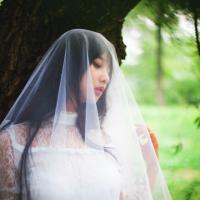 阳光，与共 我不是太傻，而是太容