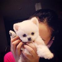 不介意孤独，比爱你舒服。 有些伤痛 , 何可言