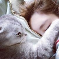 气质女头 一台单反，一个会拍照