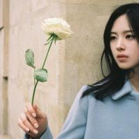 安柠檬：久伴不及深爱 （无人可以取代你）