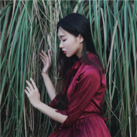 顾向北 我长得不美，但是我一