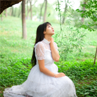 笙夏 何必装可怜洒眼泪别人