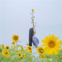 许你暮迟独远归. 谁，执我之手，敛我半