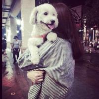 祝你以后跟她幸福，我不是你的新娘 她对他凝望一秒钟　转
