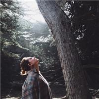 别羡慕 那是别人的地老天荒 真心不如红钞票，感情