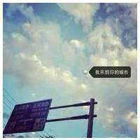 很少发了 天若有情天亦老、动我