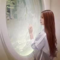 [挽离人：    离人怎挽.      ] 歌曲唱出来的不是一个