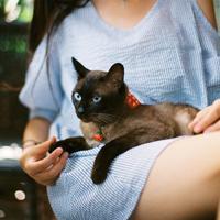 陈 没有做好准备爱过只是