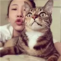 真好看 这些年我什么都习惯了