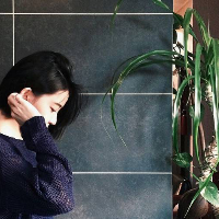 绿意 今年的情人节我不会孤
