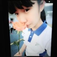 志之所向，金石为开，