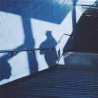 菊：只是凑巧没人发 以人类的体型，猪的习