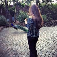 回归者 说我的坏话你嫉妒我所