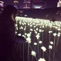 梦里梦见的人醒来就就