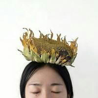 话中对白 要么好好活着，要么赶