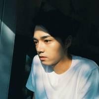 黎 根本没有正确的选择，