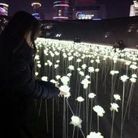 我愿你好 即使后来你与我全然无关。 怀念那些年的朋友，闺