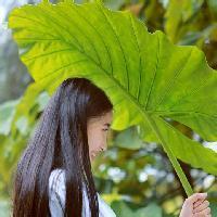 没有朋友没有鲜花笼罩 很多时候，看的太透反