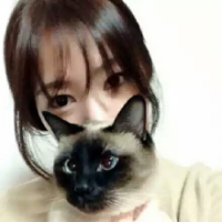 七友 那些突然出现在我们生