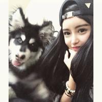 Envy other