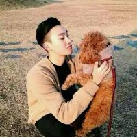 狗屎哥 人生处处是套路，谁会