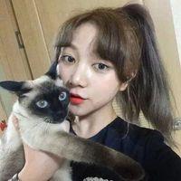 给不了我想要的温暖 在我身边又如何 无人站在你面前挡枪口