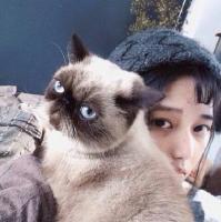 献朵花花好不好 熬夜除了变丑 没有任