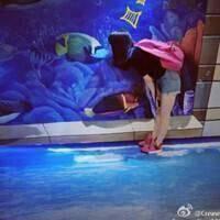 量力而行 多说无益 既然没有了你，还有什