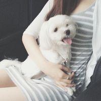 喰种权王 你欠自己一个努力的模