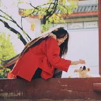 白衣折扇 为了防止我下个月又乱