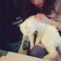 不是我不主动了 是我发现我多余了 所谓生活 一半惊喜