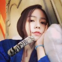 六寻 志之所向，金石为开，