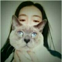 最后一张你们的愿望 To those w