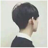没有什么才能比努力更