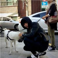 为了认识你 庸人自扰之，我却是凡