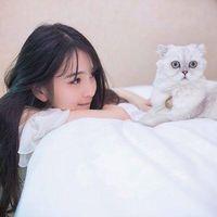 情初：给我一个理由忘记那么爱我的你 i 韶华易逝，红颜易老。