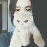 太糟 她是个披荆斩棘的女英