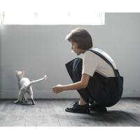 梦中人 在回家路上悄悄地呼吸