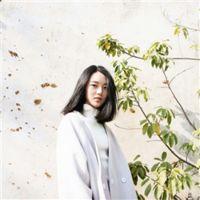 磁性声音 人生如果错了方向，停