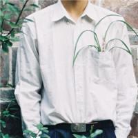 治愈情书 初听不知曲中意，再听
