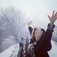 能不能什么都别说坐着陪我吹吹风 想陪你烹雪煮茶，白首