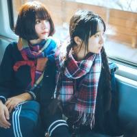 。 春天的鲜花开满了墙，