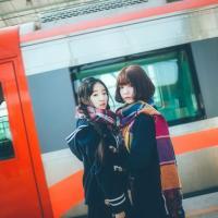 。 春天的鲜花开满了墙，