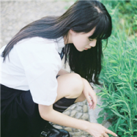 来日方长 太阳尚远，但必有太阳