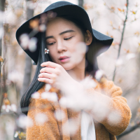 王の女人 我的东西从来不喜欢和